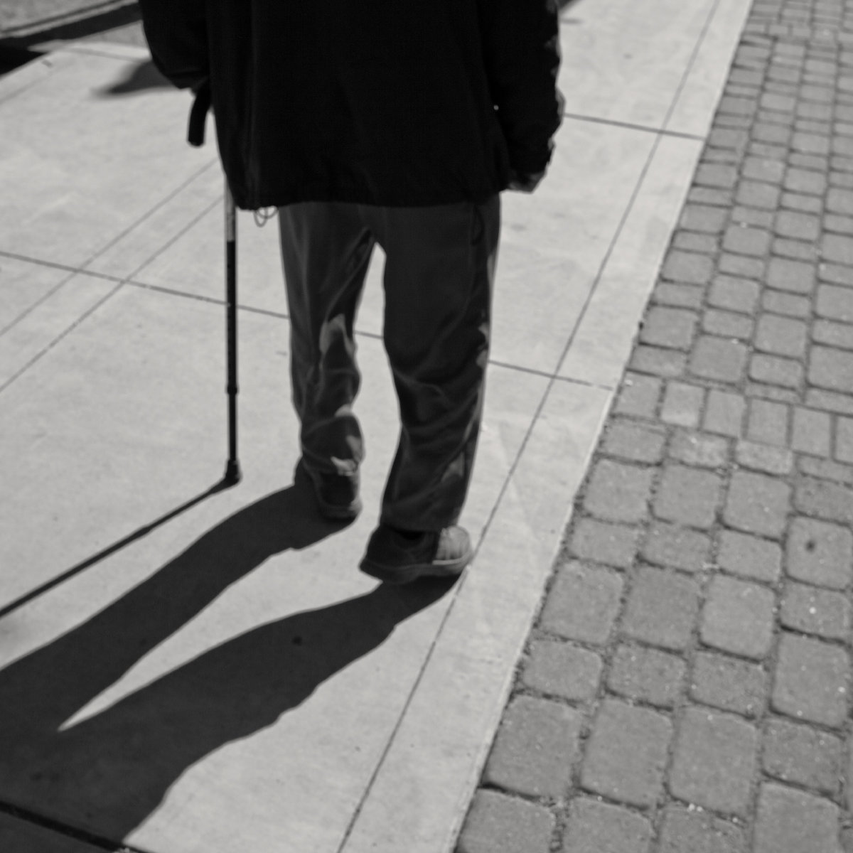 The 10 Best Walking Canes for Seniors